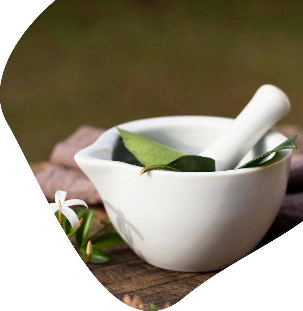 Start Your Natural Wellbeing Journey Start Your Natural Wellbeing Journey